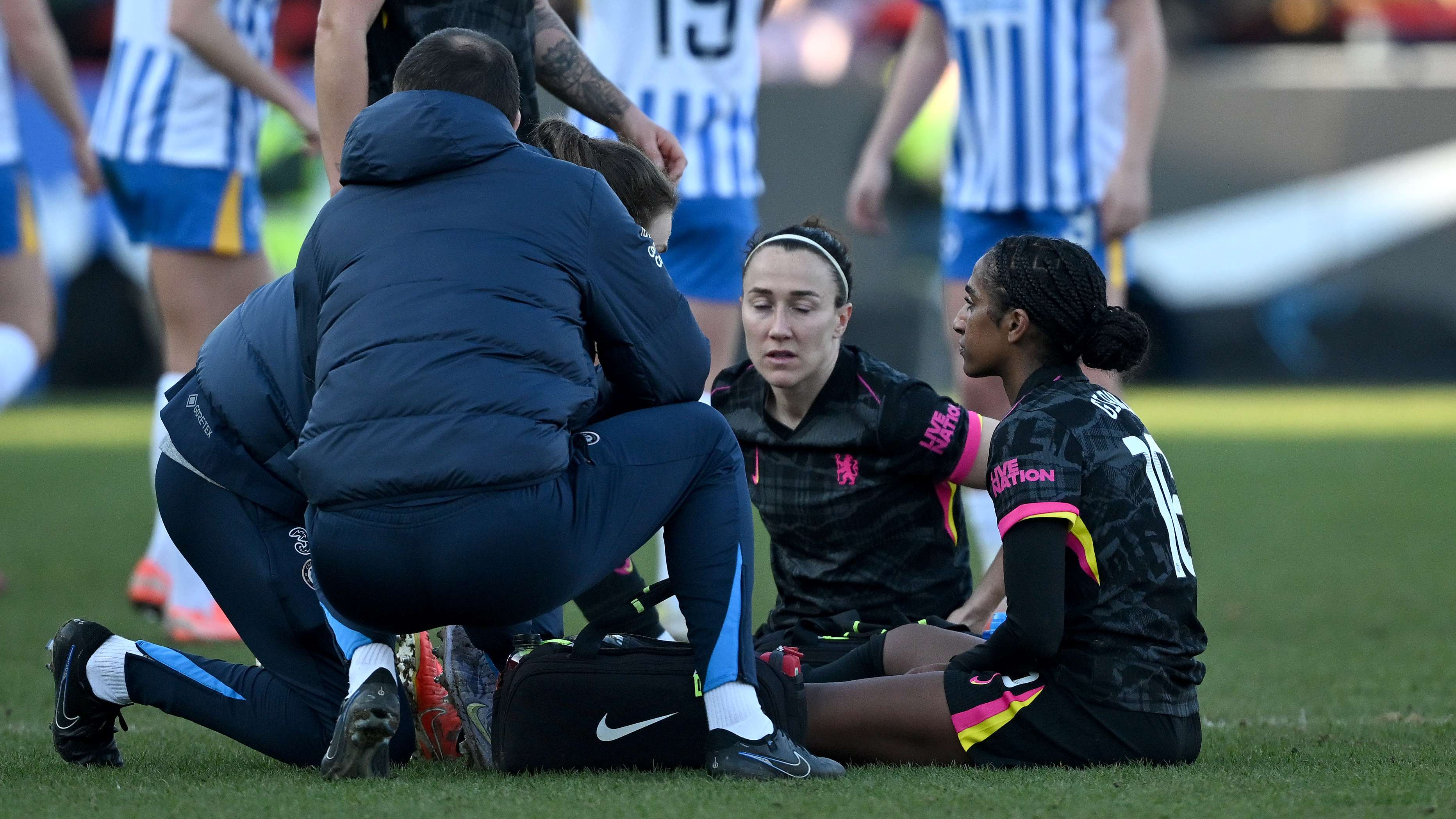 都成为球迷 都成为球迷